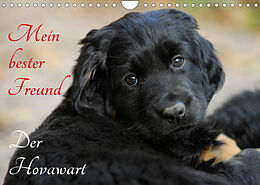 Kalender Mein bester Freund - Der Hovawart (Wandkalender 2023 DIN A4 quer) von Sigrid Starick