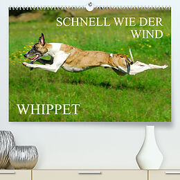 Kalender Schnell wie der Wind - Whippet (Premium, hochwertiger DIN A2 Wandkalender 2023, Kunstdruck in Hochglanz) von Sigrid Starick