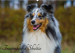 Kalender Traumhund Sheltie (Wandkalender 2023 DIN A2 quer) von Sigrid Starick