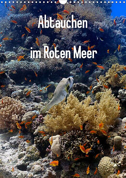 Kalender Abtauchen im Roten Meer (Wandkalender 2023 DIN A3 hoch) von Lars Eberschulz
