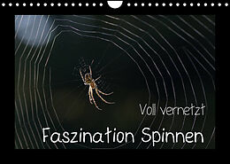 Kalender Voll vernetzt - Faszination Spinnen (Wandkalender 2023 DIN A4 quer) von Sigrid Enkemeier