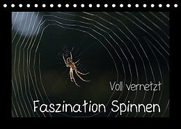 Kalender Voll vernetzt - Faszination Spinnen (Tischkalender 2023 DIN A5 quer) von Sigrid Enkemeier