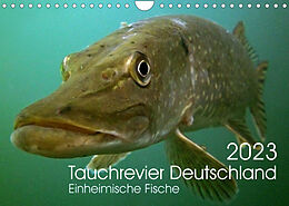 Kalender Tauchrevier Deutschland (Wandkalender 2023 DIN A4 quer) von Mario Merkel - Tauchrevier Deutschland