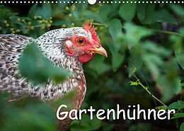 Kalender Gartenhühner (Wandkalender 2023 DIN A3 quer) von Britta Ohm