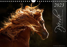 Kalender Pferde - Anmut und Stärke gepaart mit Magie (Wandkalender 2023 DIN A4 quer) von Sabrina Mischnik