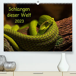 Kalender Schlangen dieser WeltAT-Version (Premium, hochwertiger DIN A2 Wandkalender 2023, Kunstdruck in Hochglanz) von GuidoTipka/GUTI-Fotos