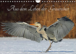 Kalender Aus dem Leben der Graureiher (Wandkalender 2023 DIN A4 quer) von Klaus Konieczka