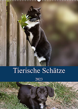Kalender Tierische Schätze (Wandkalender 2023 DIN A2 hoch) von Doris Metternich
