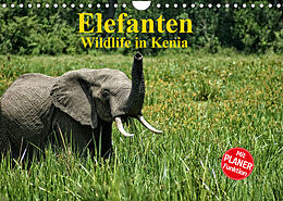 Kalender Elefanten . Wildlife in Kenia (Wandkalender 2023 DIN A4 quer) von Susan Michel