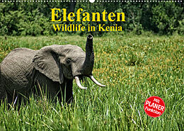 Kalender Elefanten . Wildlife in Kenia (Wandkalender 2023 DIN A2 quer) von Susan Michel