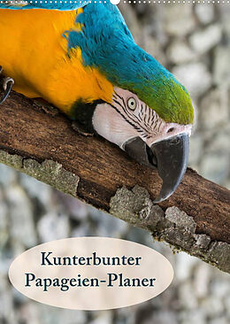Kalender Kunterbunter Papageien-Planer (Wandkalender 2023 DIN A2 hoch) von Angelika Beuck
