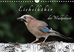 Kalender Eichelhäher der Waldpolizist (Wandkalender 2023 DIN A4 quer) von Klaus Konieczka
