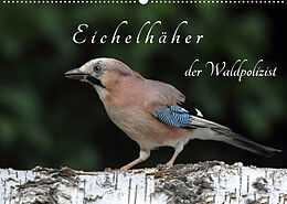 Kalender Eichelhäher der Waldpolizist (Wandkalender 2023 DIN A2 quer) von Klaus Konieczka