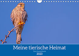 Kalender Meine tierische Heimat (Wandkalender 2023 DIN A4 quer) von ellenlichtenheldt