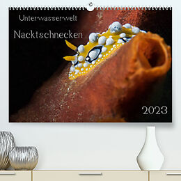 Kalender Unterwasserwelt Nacktschnecken (Premium, hochwertiger DIN A2 Wandkalender 2023, Kunstdruck in Hochglanz) von Dorothea Oldani