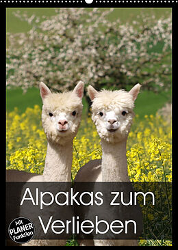 Kalender Alpakas zum Verlieben (Wandkalender 2023 DIN A2 hoch) von Heidi Rentschler