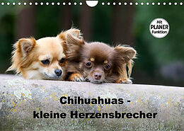 Kalender Chihuahuas - kleine Herzensbrecher (Wandkalender 2023 DIN A4 quer) von Verena Scholze