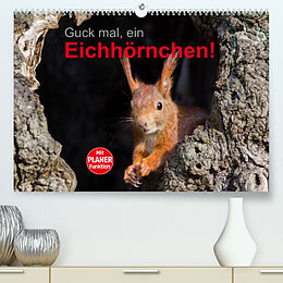Kalender Guck mal, ein Eichhörnchen! (Premium, hochwertiger DIN A2 Wandkalender 2023, Kunstdruck in Hochglanz) von Margret Brackhan