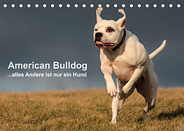 Kalender American Bulldog - alles Andere ist nur ein Hund (Tischkalender 2023 DIN A5 quer) von Denise Schmöhl