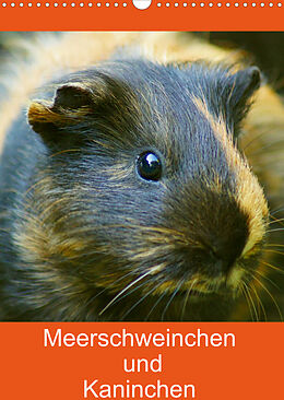 Kalender Meerschweinchen und Kaninchen Familienplaner (Wandkalender 2023 DIN A3 hoch) von Kattobello