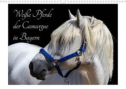 Kalender Weiße Pferde der Camargue in Bayern (Wandkalender 2023 DIN A3 quer) von photography brigitte jaritz