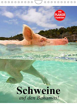 Kalender Schweine auf den Bahamas! (Wandkalender 2023 DIN A4 hoch) von Elisabeth Stanzer