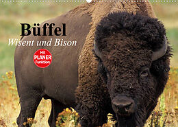 Kalender Büffel. Wisent und Bison (Wandkalender 2023 DIN A2 quer) von Elisabeth Stanzer