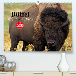 Kalender Büffel. Wisent und Bison (Premium, hochwertiger DIN A2 Wandkalender 2023, Kunstdruck in Hochglanz) von Elisabeth Stanzer