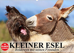 Kalender Kleiner Esel. Boldewyn mit seinen Freunden (Wandkalender 2023 DIN A2 quer) von Elisabeth Stanzer
