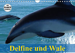 Kalender Delfine und Wale (Wandkalender 2023 DIN A4 quer) von Elisabeth Stanzer