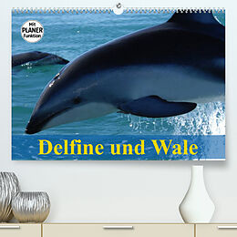 Kalender Delfine und Wale (Premium, hochwertiger DIN A2 Wandkalender 2023, Kunstdruck in Hochglanz) von Elisabeth Stanzer