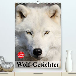 Kalender Wolf-Gesichter (Premium, hochwertiger DIN A2 Wandkalender 2023, Kunstdruck in Hochglanz) von Elisabeth Stanzer