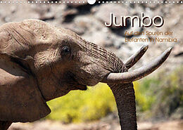 Kalender Jumbo Auf den Spuren der Elefanten in Namibia (Wandkalender 2023 DIN A3 quer) von Walter Imhof