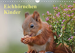 Kalender Eichhörnchen Kinder (Wandkalender 2023 DIN A4 quer) von Tine Meier