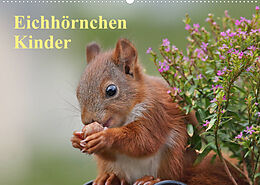 Kalender Eichhörnchen Kinder (Wandkalender 2023 DIN A2 quer) von Tine Meier
