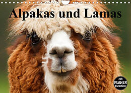 Kalender Alpakas und Lamas (Wandkalender 2023 DIN A4 quer) von Elisabeth Stanzer