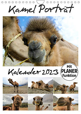 Kalender Kamel Porträt (Wandkalender 2023 DIN A4 hoch) von Sven Gruse