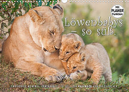 Kalender Emotionale Momente: Löwenbabys - so süß. (Wandkalender 2023 DIN A3 quer) von Ingo Gerlach