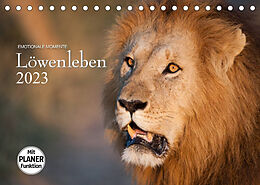 Kalender Emotionale Momente: Löwenleben (Tischkalender 2023 DIN A5 quer) von Ingo Gerlach GDT
