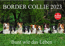 Kalender Border Collie 2023 (Wandkalender 2023 DIN A2 quer) von Sigrid Starick