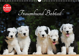Kalender Traumhund Bobtail (Wandkalender 2023 DIN A3 quer) von Sigrid Starick