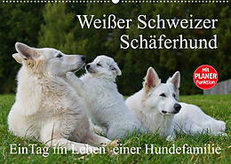 Kalender Weißer Schweizer Schäferhund - Ein Tag im Leben einer Hundefamilie (Wandkalender 2023 DIN A2 quer) von Sigrid Starick