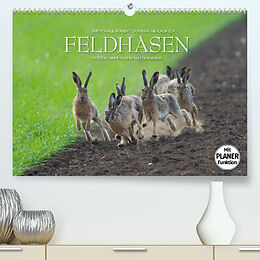 Kalender Emotionale Momente: Feldhasen (Premium, hochwertiger DIN A2 Wandkalender 2023, Kunstdruck in Hochglanz) von Ingo Gerlach GDT
