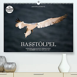Kalender Emotionale Momente: Basstölpel (Premium, hochwertiger DIN A2 Wandkalender 2023, Kunstdruck in Hochglanz) von Ingo Gerlach GDT