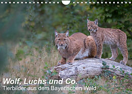 Kalender Wolf, Luchs und Co. - Tierbilder aus dem Bayerischen Wald (Wandkalender 2023 DIN A4 quer) von Klaus Buchmann, www.klaus-buchmann.de