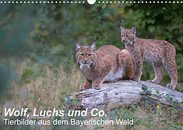 Kalender Wolf, Luchs und Co. - Tierbilder aus dem Bayerischen Wald (Wandkalender 2023 DIN A3 quer) von Klaus Buchmann, www.klaus-buchmann.de