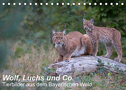 Kalender Wolf, Luchs und Co. - Tierbilder aus dem Bayerischen Wald (Tischkalender 2023 DIN A5 quer) von Klaus Buchmann, www.klaus-buchmann.de