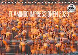Kalender Flamingo Impressionen 2023 (Tischkalender 2023 DIN A5 quer) von Ingo Gerlach