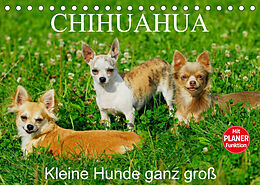 Kalender Chihuahua - Kleine Hunde ganz groß (Tischkalender 2023 DIN A5 quer) von Sigrid Starick