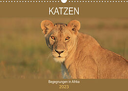Kalender Katzen - Begegnungen in Afrika (Wandkalender 2023 DIN A3 quer) von Michael Herzog